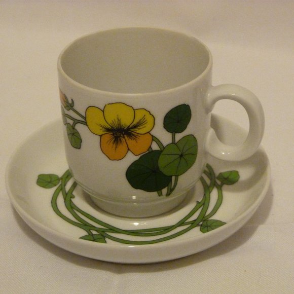 Thomas Rosenthal Cup and Saucer Set Made in Germany Scandic Nasturtium Pattern - Picture 1 of 8